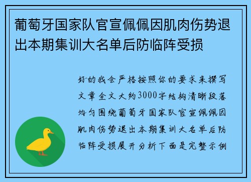 葡萄牙国家队官宣佩佩因肌肉伤势退出本期集训大名单后防临阵受损 葡萄牙国家队官宣佩佩因肌肉伤势退出本期集训大名单后防临阵受损